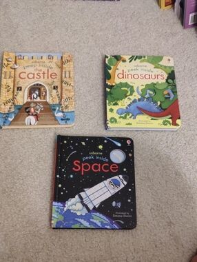 Lot Of 3 Usborne Hardcover Children's Books Peep Inside series Educational